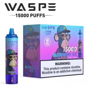 Da polarnatten blev fanget i et blåt bær Historien om Waspe 15000 og rejsen mod den uendelige Blueberry Ice