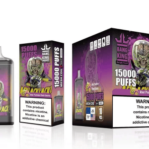 Da troperne indtog Nyhavn Fortællingen om Bang King Digital 15000 og jagten på den perfekte sky