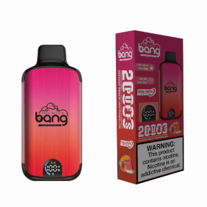 En frugtig tidsmaskine i din lomme Bang 20000 Puffs Raspberry Watermelon redefinerer nydelse