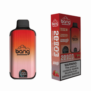 En frugtig tidsmaskine i din lomme Bang 20000 Puffs Raspberry Watermelon redefinerer nydelse