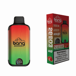 En smagsrejse til solens hjerte Bang 20000 Puffs Strawberry Watermelon
