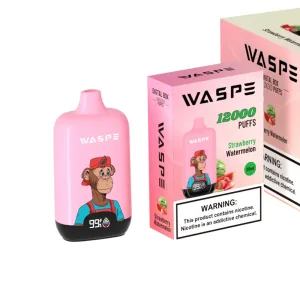 WASPE 12000 Digital Box Strawberry Watermelon Den ultimative
