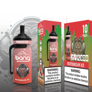 Vandmelonens iskolde dans over Nyhavn Historien om Bang TN 12000 og den nat nydelsen blev digital