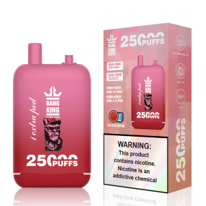 Isbjerget af vandmelon i din hånd Oplev Bang King 25000 Puffs nu